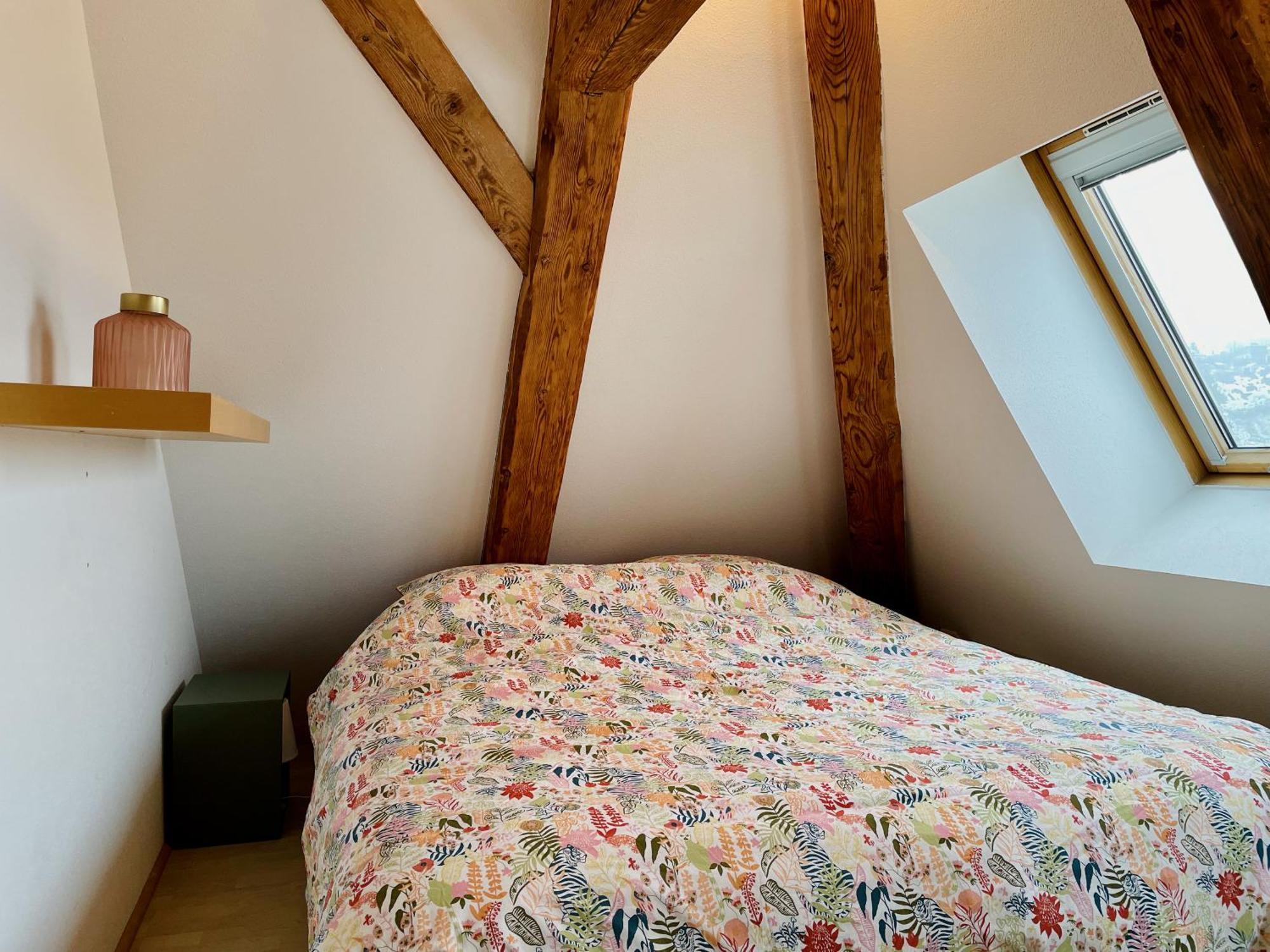 Duplex + Parking Gratuit Facile Leilighet Sainte-Suzanne  Eksteriør bilde